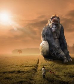 Majestic Gorilla Paint By Numbers