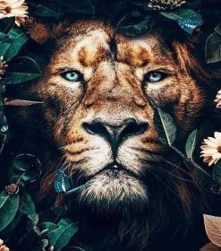 Majestic Lion Wilderness Paint By Numbers