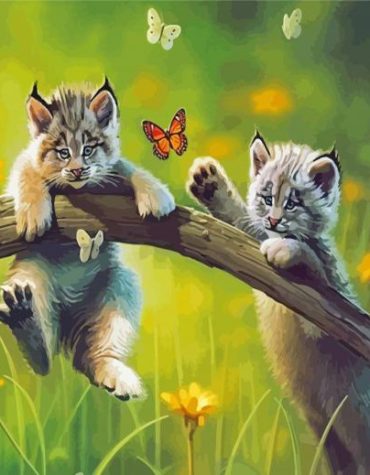 Butterfly Kitten Delight Paint By Numbers