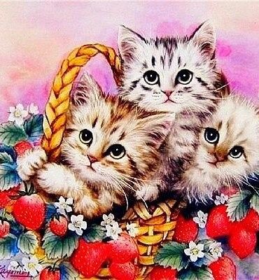 Kittens and Flowers Paint By Numbers