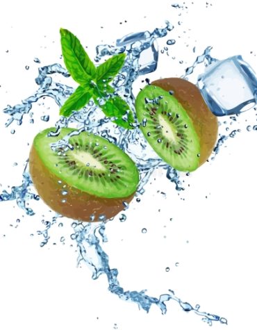 Kiwi Splash Paint By Numbers