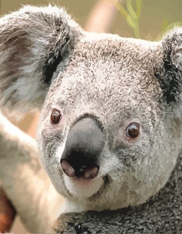 Charming Koala Animal Paint By Numbers