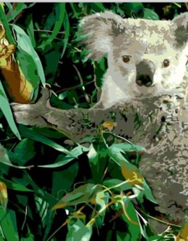Koala with Eucalyptus Paint By Numbers