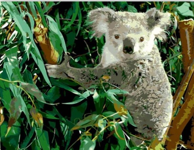 Koala with Eucalyptus Paint By Numbers