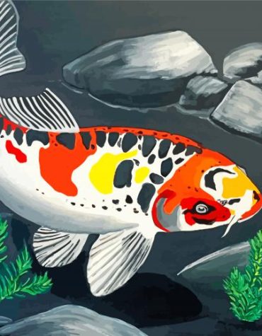 Koi Carp Art Paint By Numbers