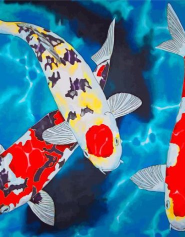 Tropical Koi Carp Paint By Numbers