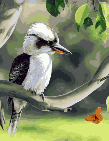 Blue Winged Kookaburra Painting Paint By Numbers