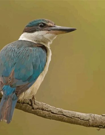 Colorful Kotare Bird Paint By Numbers