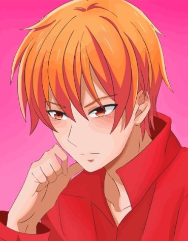 Kyo Sohma Anime Series Paint By Numbers