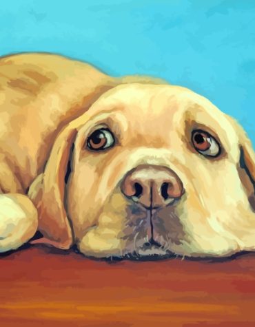 Charming Labrador Paint By Numbers