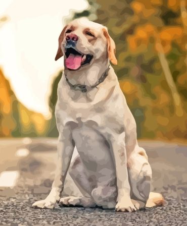 Labrador and Collie Puppies Paint By Numbers