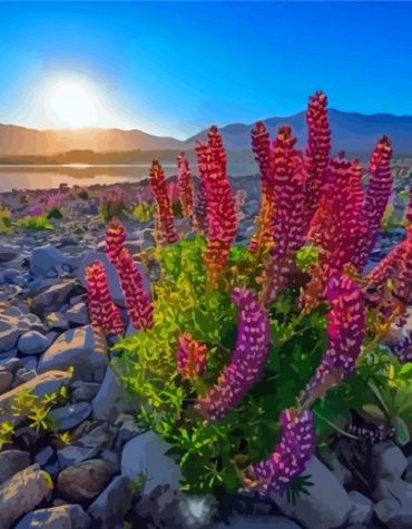 Lake Tekapo Sunset View Paint By Numbers