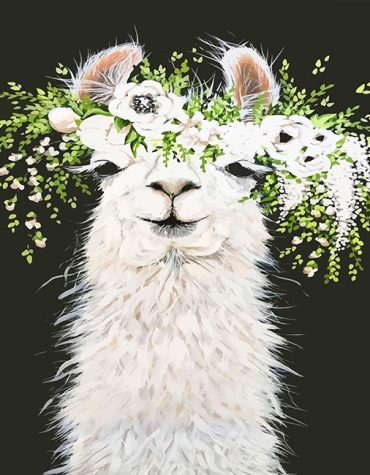 Llama with Flowers Paint By Numbers
