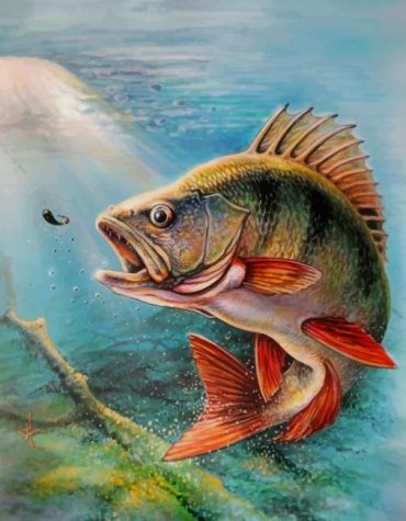Largemouth Bass Ocean Vibe Paint By Numbers