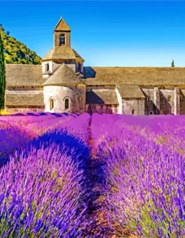 Lavender Provence Beauty Paint By Numbers