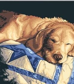 Sleepy Dog Paint By Numbers
