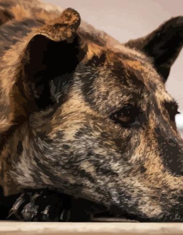 Mountain Cur Puppies Paint By Numbers