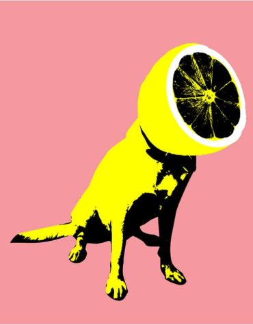 Lemon Puppy Paint By Numbers