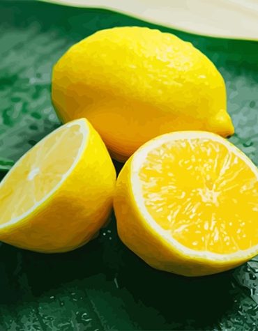 Sunny Lemon Paint By Numbers