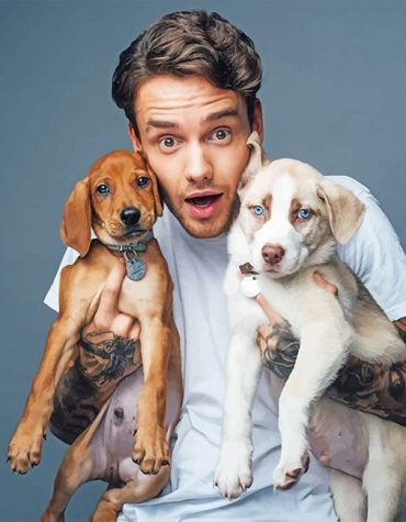 Liam Payne and Pets Paint By Numbers