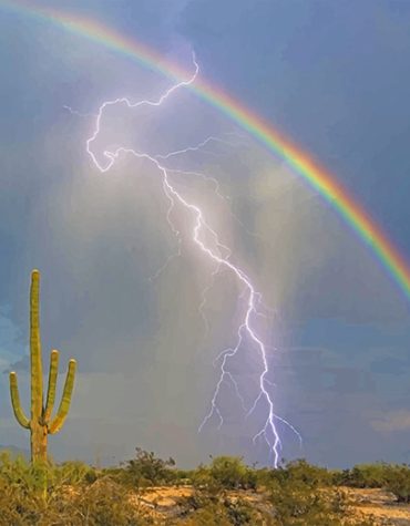 Lightning and Thunder Paint By Numbers