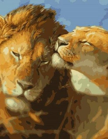 Lion Couple Wildlife Paint By Numbers