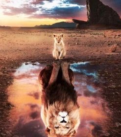 Lion and Reflection Paint By Numbers