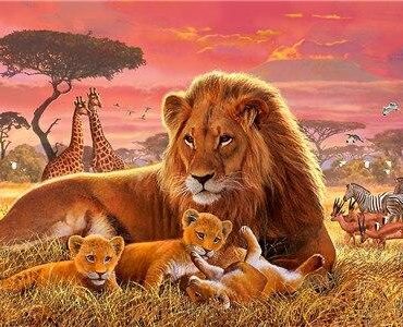 Lion Cubs Artwork Paint By Numbers