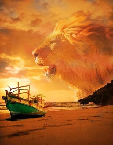 Lions in Beach Seascapes Paint By Numbers