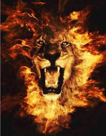 Fiery Lion Paint By Numbers