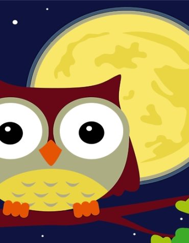 Little Owl Moonlight Paint By Numbers