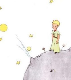 Little Prince Cartoon Paint By Numbers
