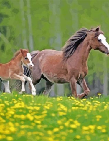 Welsh Pony Family Paint By Numbers