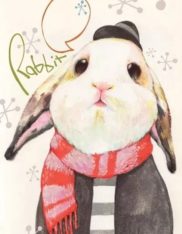 White Rabbit Animal Paint By Numbers