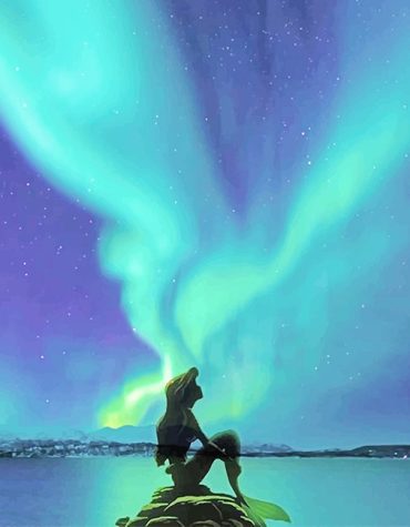 Magical Little Mermaid Paint By Numbers