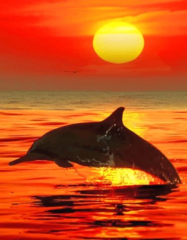Lonely Dolphin Seascape Paint By Numbers