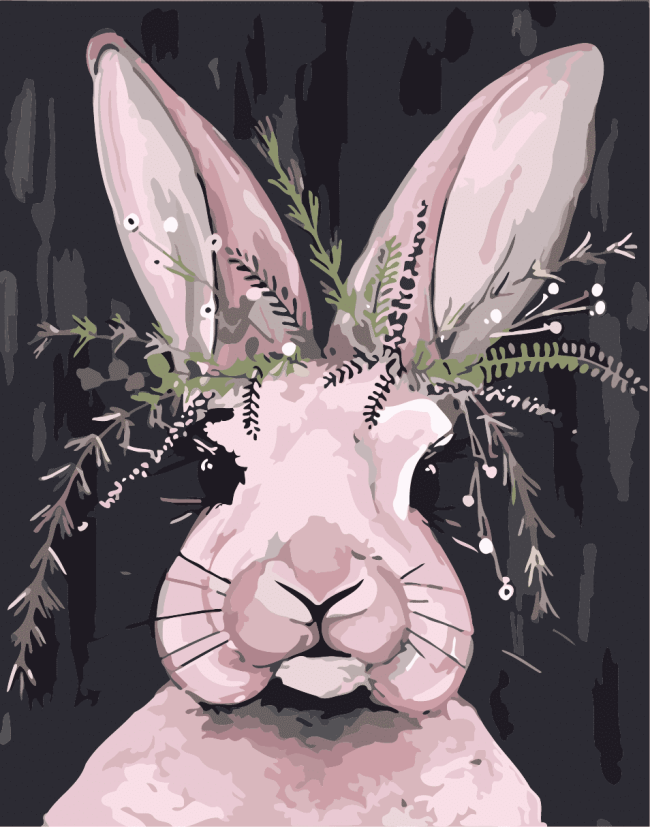 Long Eared Rabbit Paint By Numbers