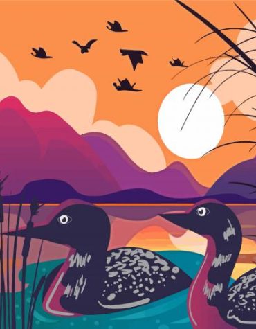 Loons on Serene Lake Paint By Numbers