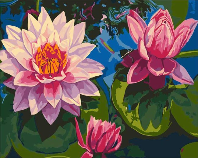 Lotus Water Bloom Paint By Numbers