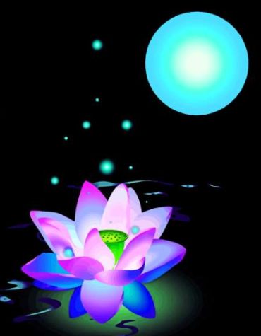Moonlit Lotus Paint By Numbers