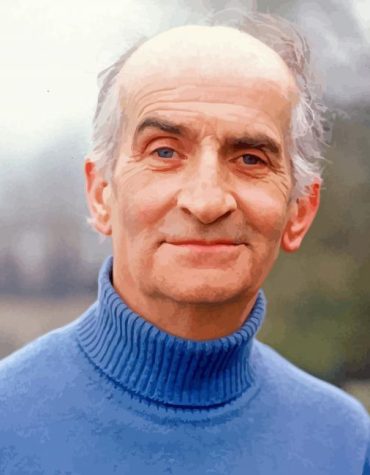 Louis De Funes Movies Paint By Numbers