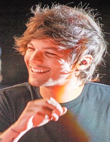 Louis Tomlinson Singer Paint By Numbers