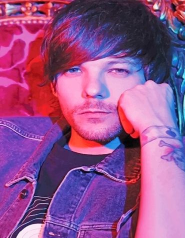Louis Tomlinson Stylish Paint By Numbers
