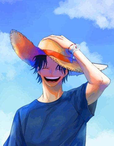 Monkey D Luffy Anime Paint By Numbers