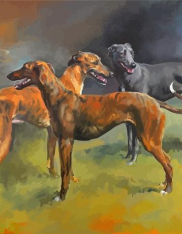Lovely Puppies Lurchers Paint By Numbers