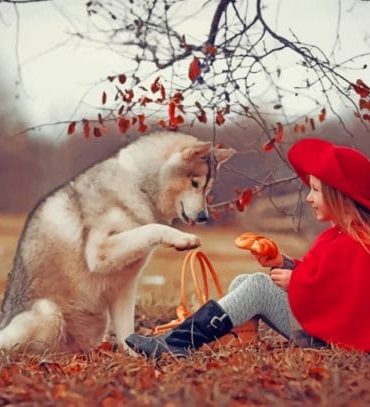 Brown Husky and Little Girl Paint By Numbers