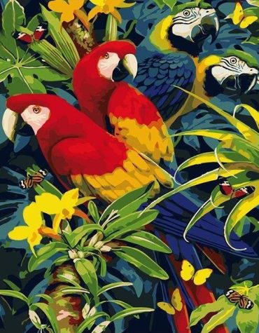 Colorful Macaw African Parrots Paint By Numbers