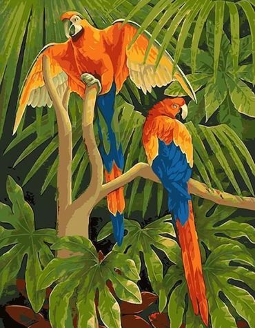 Macaw Jungle Scenery Paint By Numbers