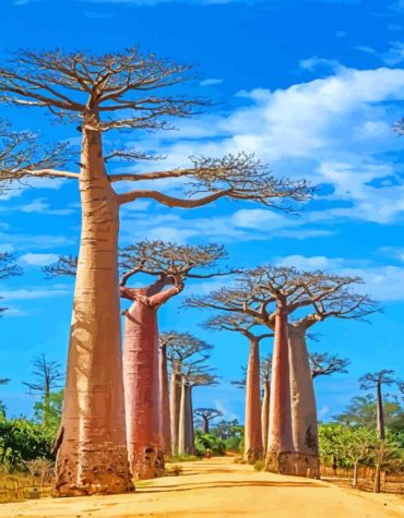 Madagascar Baobabs Adventure Paint By Numbers