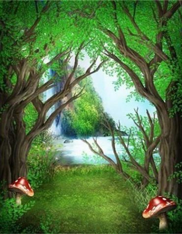 Enchanted Woodland Landscape Paint By Numbers